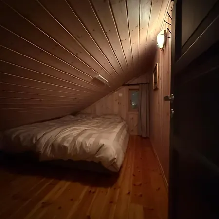 Tatil Evi Cozy In&out *
