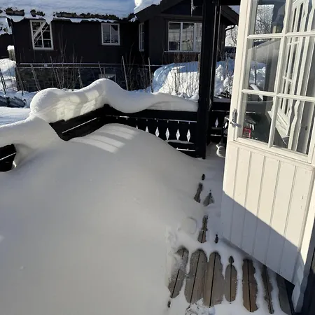 Tatil Evi Cozy In&out Hemsedal